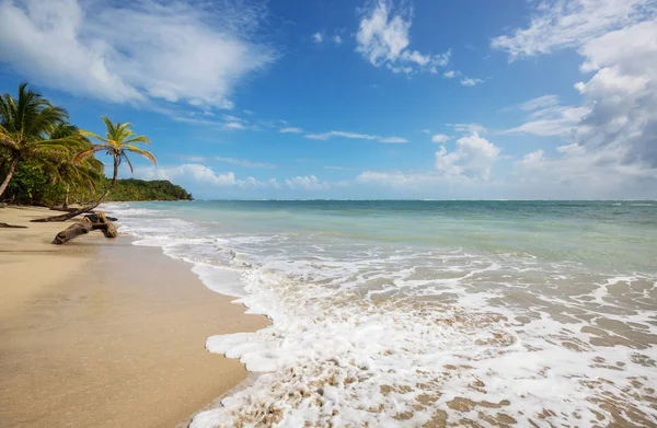 Costa Rica Pacific coast — setting for spousal infidelity investigations in beach resort towns