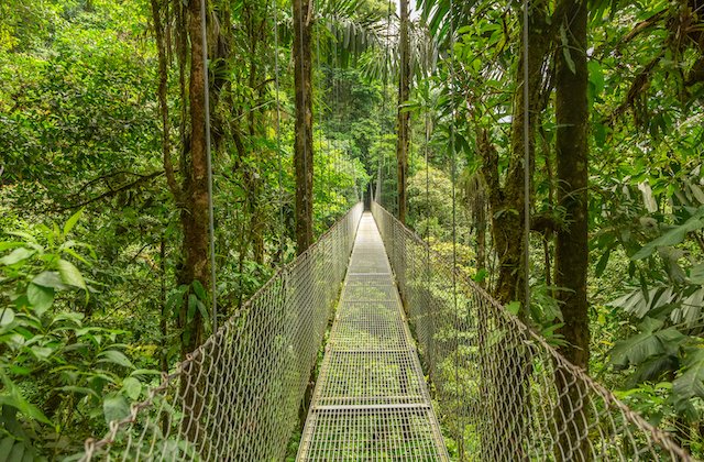 Costa Rica national park wilderness jungle where hikers can become lost